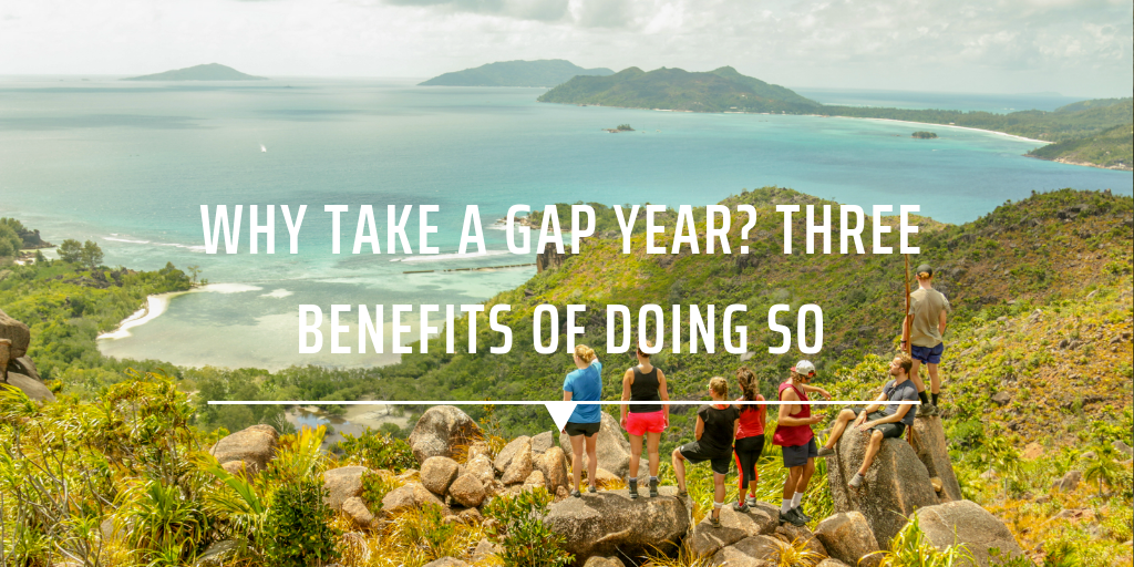 pros and cons of a gap year