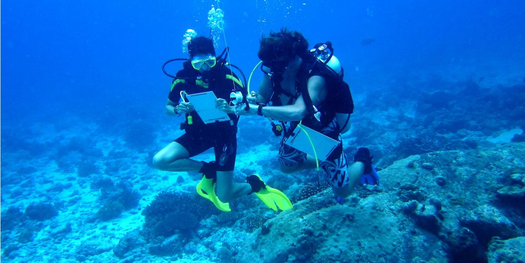 GVI participants help to gather scientific data in Mahe, Seychelles. After becoming PADI pros, these divers could help further research in marine conservation.