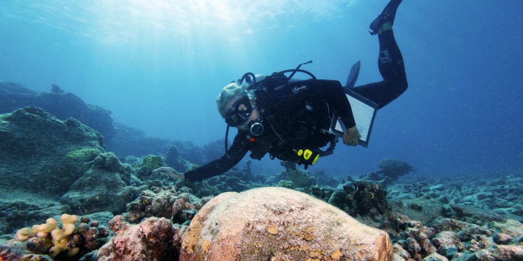 This marine archeologist studies a ginger jar from a shipwreck. Marine archaeology is one of many scuba diving jobs available to PADI pros.