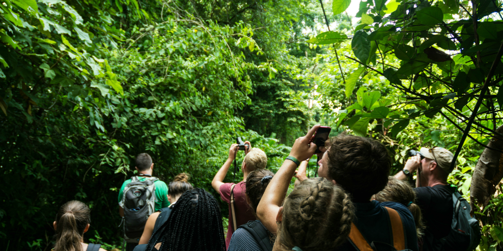 Positive effects of social media are shown here, volunteers in Costa Rica are documenting their experience of the surrounding wildlife.