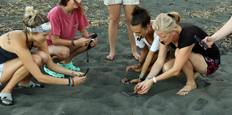Volunteers in Seychelles are demonstrating the effects of the digital diet and the negative effects of social media by looking at baby turtles through their smartphones instead of being in the moment.