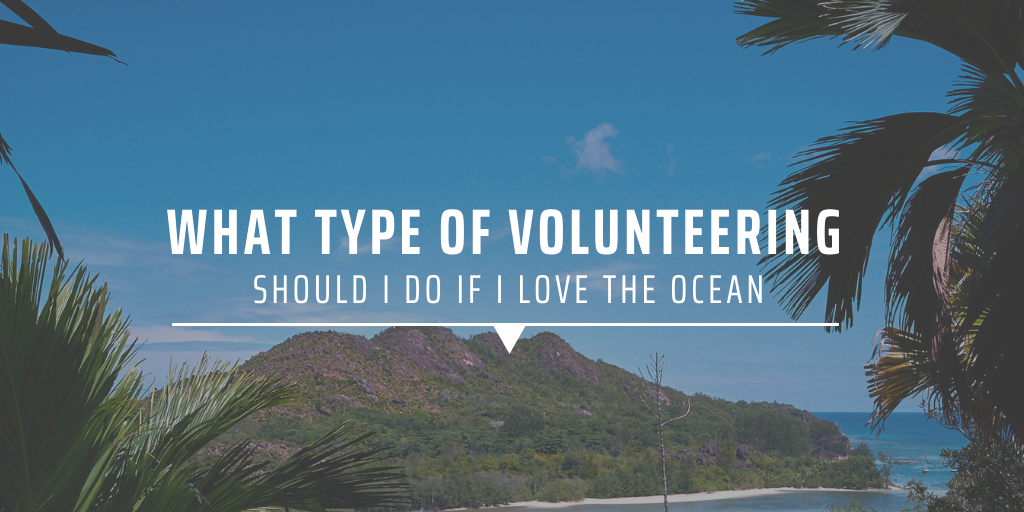 What type of volunteering should I do if I love the ocean