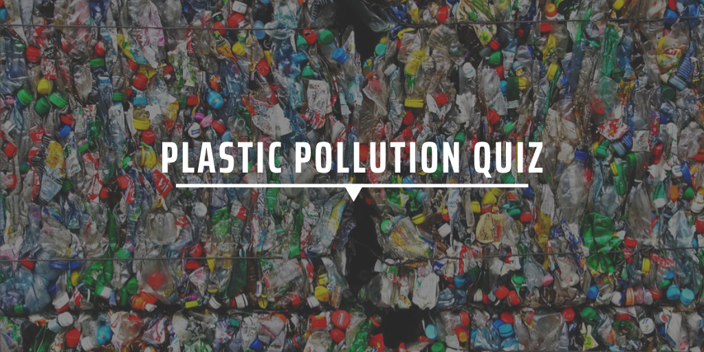 Plastic Pollution Quiz