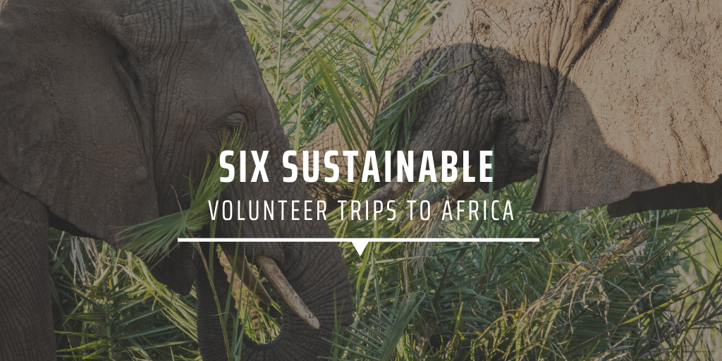 Six sustainable volunteer trips to Africa