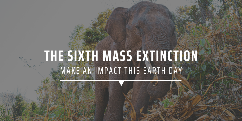 The sixth mass extinction Make an impact this Earth Day