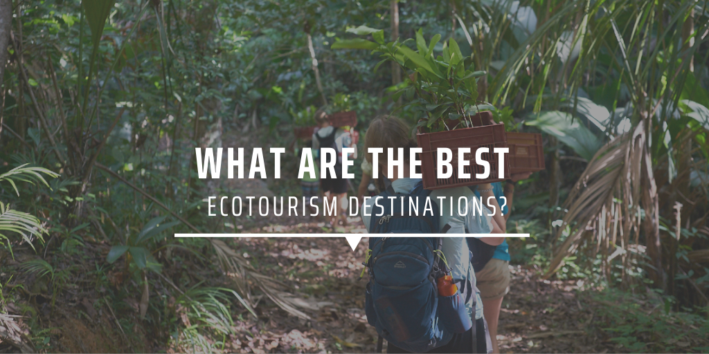 What are the best ecotourism destinations