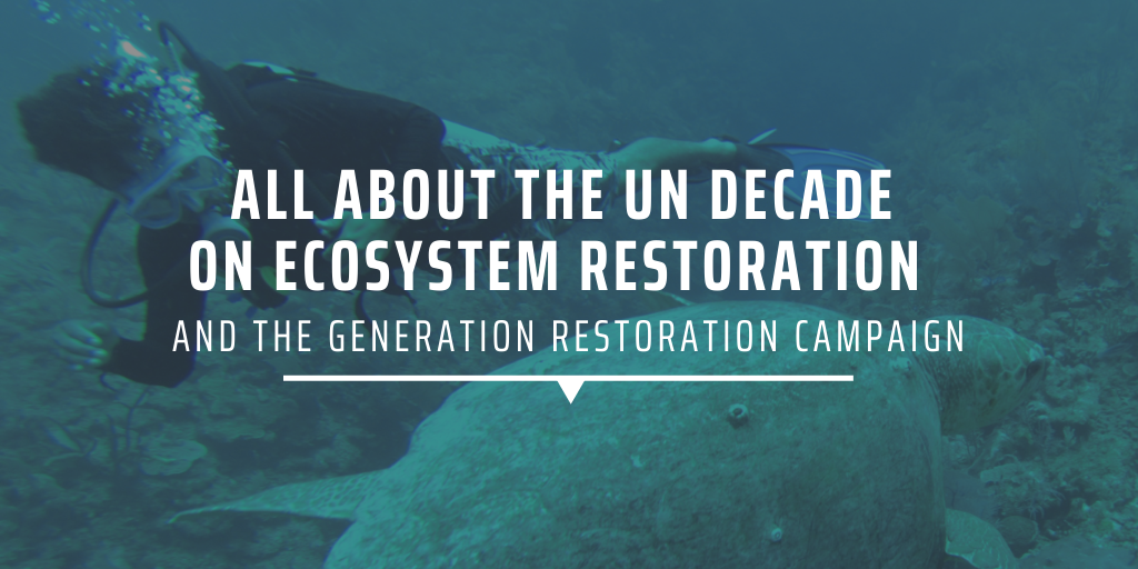 All about the UN Decade on Ecosystem Restoration and the Generation Restoration campaign