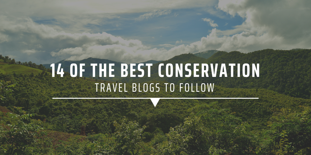 14 of the best conservation travel blogs to follow