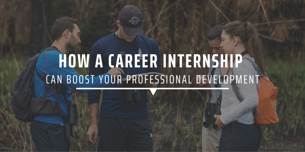 How a career internship can boost your professional development