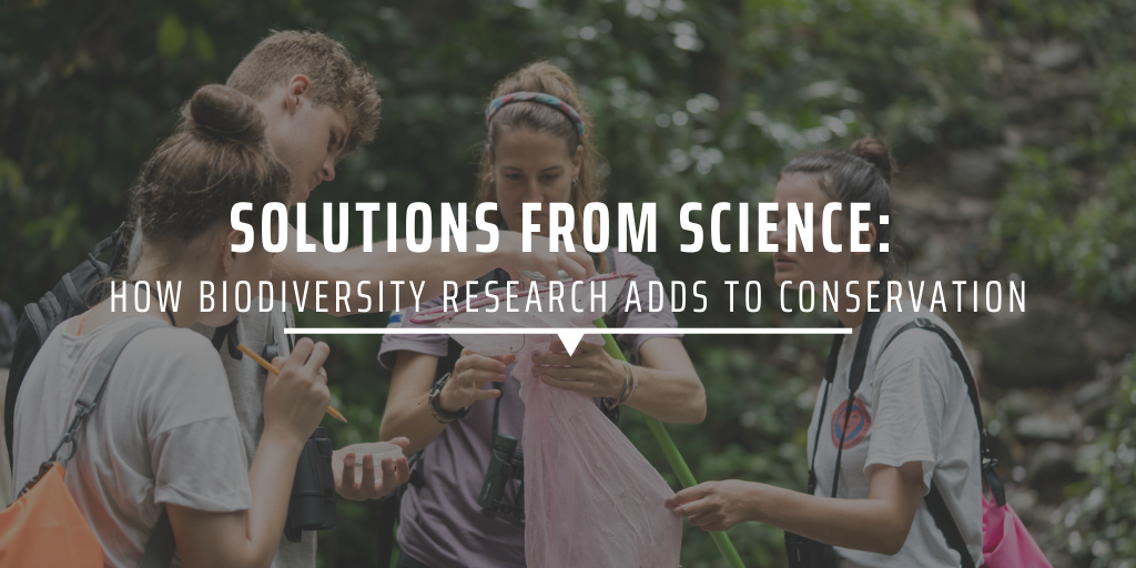 Solutions from science: How biodiversity research adds to conservation