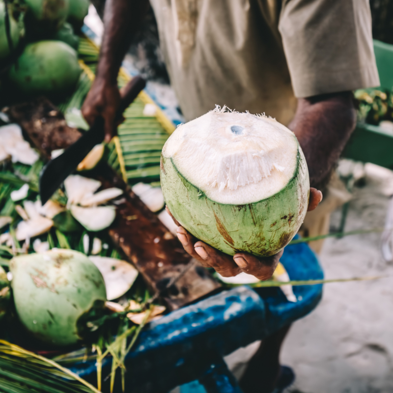 Learn to pick and husk a coconut 