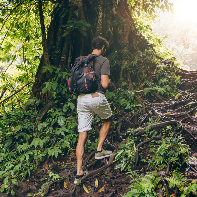 Take a mindfulness hike through the forest