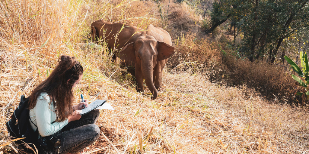 Participant collecting elephant conservation data