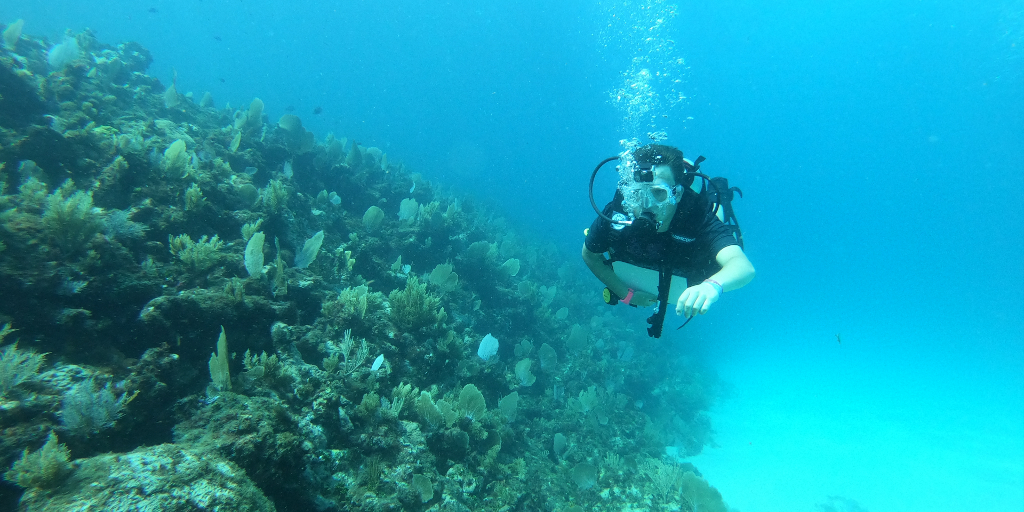 diving in Mexico