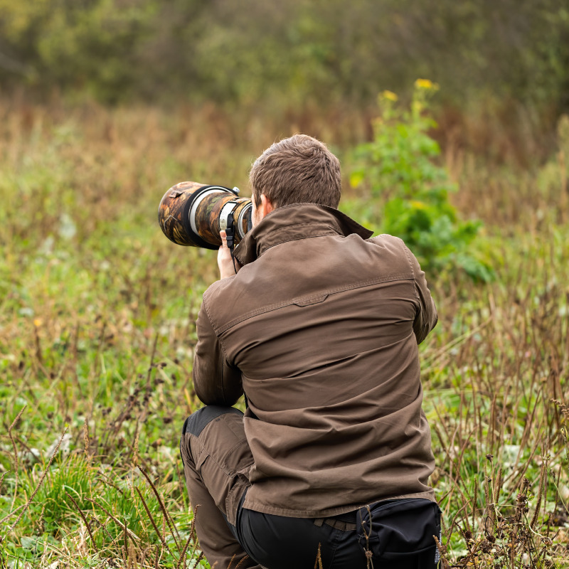 Develop your wildlife photography skills