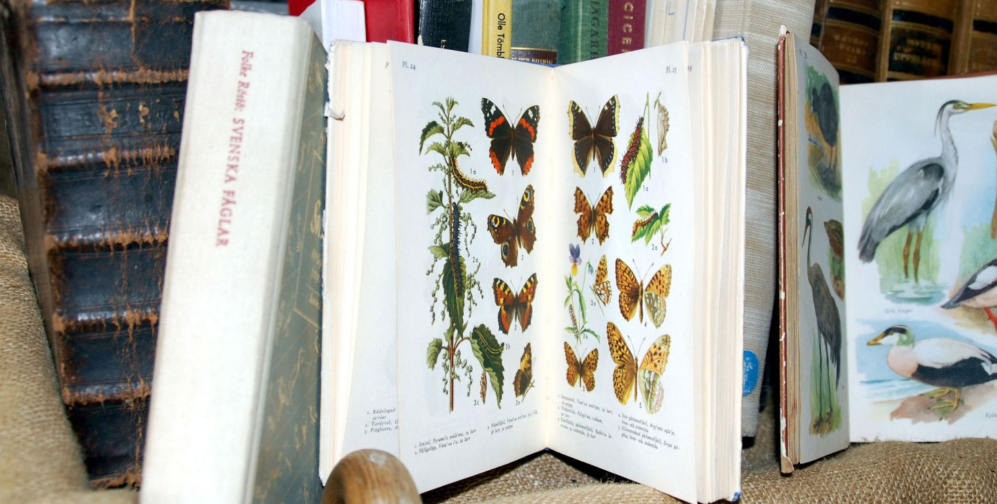 Wildlife conservation book on butterflies