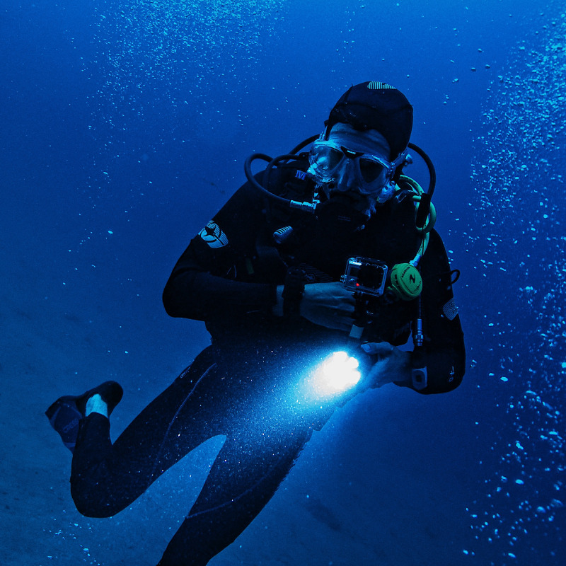 Explore the ocean after dark with a night dive